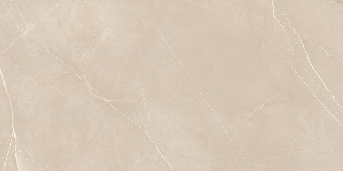 Керамогранит NL01 60x120x10 Непол.Рект. (Керамический гранит)-9