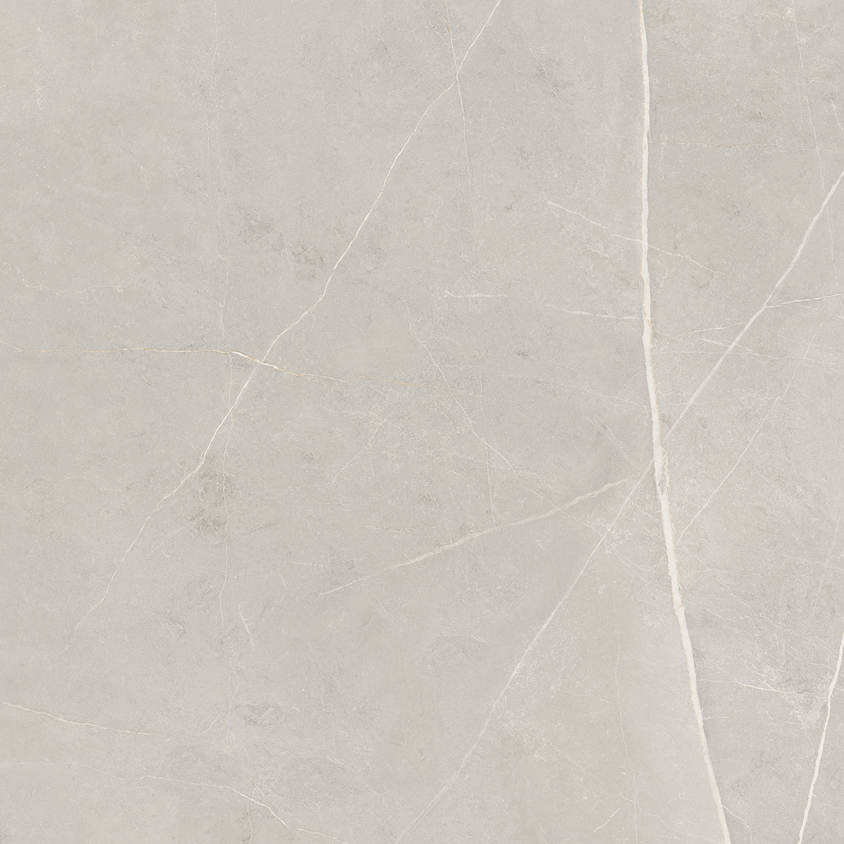 Керамогранит NL02 60x60x10 Полир. (Керамический гранит)-5