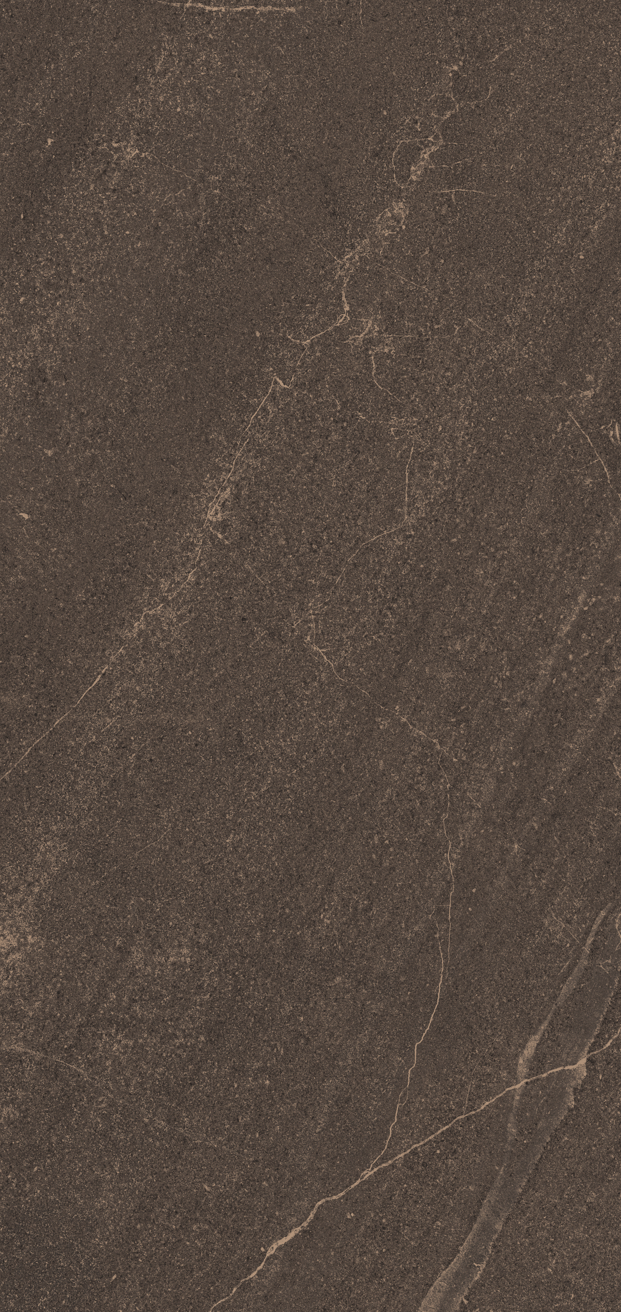 Керамогранит GB04 80x160x11 Непол.Рект. (Керамический гранит) #3