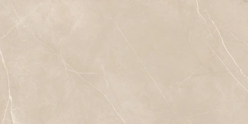 Керамогранит  NL00 60x120x10 Непол.Рект. (Керамический гранит) _8