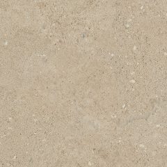 Керамогранит NP02 40,5x40,5x8 Непол. (Керамический гранит) (43,296 м2) #12