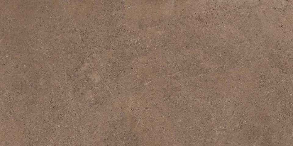 Керамогранит GO02 60x120x9 Непол.Рект. (Керамический гранит) #2