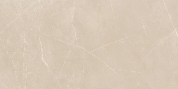 Керамогранит  NL00 60x120x9 Полир. (Керамический гранит) _10