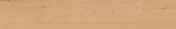 Керамогранит  BG00 19,4x120x10 Непол.Рект. (Керамический гранит) _7