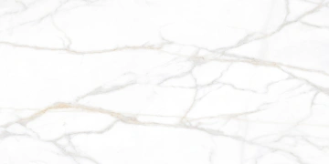Керамогранит  CM01 60x60x10 Непол.Рект. (Керамический гранит) _8