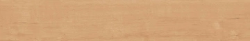 Керамогранит  BG00 19,4x120x10 Непол.Рект. (Керамический гранит) _8