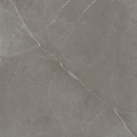 Керамогранит  NL02 60x60x9 Непол.Рект. (Керамический гранит) _5