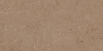 Керамогранит  NP01 30,6x60,9x8 Непол. (Керамический гранит) _4