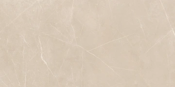 Керамогранит  NL00 60x120x10 Непол.Рект. (Керамический гранит) _9