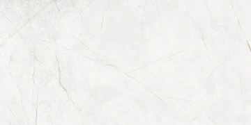 Керамогранит  NL04 60x120x10 Непол.Рект. (Керамический гранит) _1