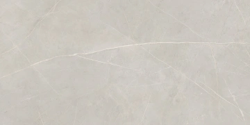 Керамогранит  NL01 60x60x9 Непол.Рект. (Керамический гранит) _3