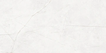 Керамогранит  BG00 14,6x60x8 Непол.Рект. (Керамический гранит) _5