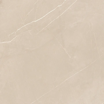 Керамогранит  NL00 60x60x10 Непол.Рект. (Керамический гранит) _19