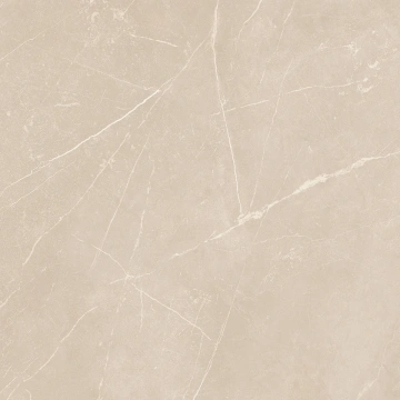 Керамогранит  NL00 60x60x9 Полир. (Керамический гранит) _16