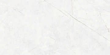 Керамогранит  NL01 60x60x10 Полир. (Керамический гранит) _4
