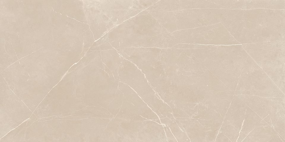 Керамогранит NL01 60x120x9 Непол.Рект. (Керамический гранит) #3