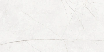 Керамогранит  NL01 60x60x10 Полир. (Керамический гранит) _3