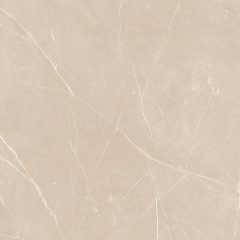 Керамогранит NL01 60x60x9 Непол.Рект. (Керамический гранит) #10