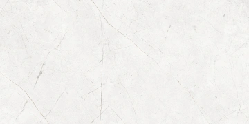 Керамогранит  NL04 60x120x10 Непол.Рект. (Керамический гранит) _2