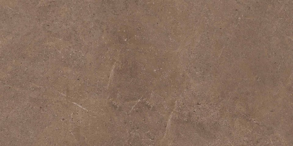 Керамогранит GO02 60x120x10 Непол.Рект. (Керамический гранит) #3