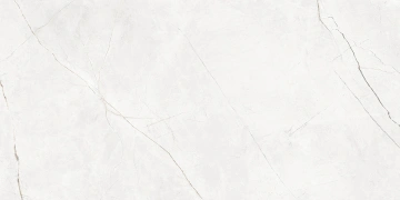 Керамогранит  NL01 60x60x10 Полир. (Керамический гранит) _9