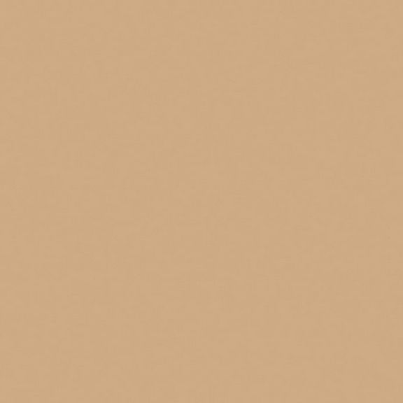 RW15 60x120x10 Неполированный