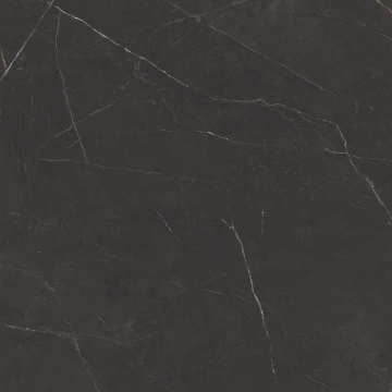 Керамогранит  NL02 60x60x10 Непол.Рект. (Керамический гранит) _5