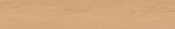Керамогранит  BG00 19,4x120x10 Непол.Рект. (Керамический гранит) _25