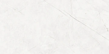 Керамогранит  BG00 14,6x60x8 Непол.Рект. (Керамический гранит) _4