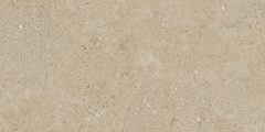 Керамогранит NP02 30,6x60,9x8 Непол. (Керамический гранит)