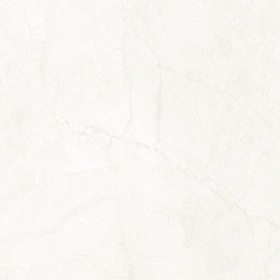 Керамогранит  SR06 60x120х10 Непол.Рект. (Керамический гранит) _2