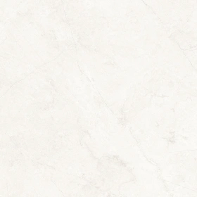 Керамогранит  SR04 60x120х10 Непол.Рект. (Керамический гранит) _6