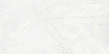 Керамогранит  NL01 60x60x10 Полир. (Керамический гранит) _2