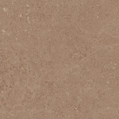 Керамогранит NP03 40,5x40,5x8 Непол. (Керамический гранит) (43,296 м2) #10