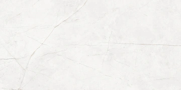 Керамогранит  NL01 60x60x10 Полир. (Керамический гранит) _5