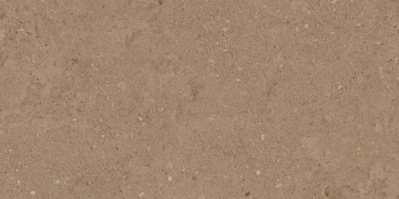 Керамогранит  NP01 30,6x60,9x8 Непол. (Керамический гранит) _3