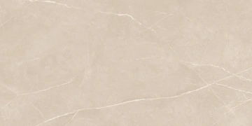 Керамогранит  NL00 60x120x10 Полир. (Керамический гранит) _5