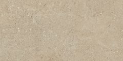 Керамогранит NP02 30,6x60,9x8 Непол. (Керамический гранит) #6
