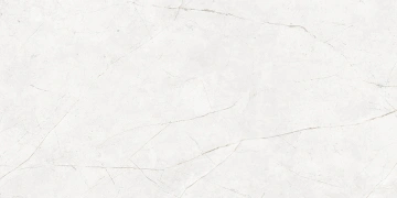 Керамогранит  NL01 60x60x9 Полир. (Керамический гранит) _5