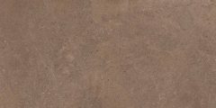 Керамогранит GO02 60x120x10 Непол.Рект. (Керамический гранит)