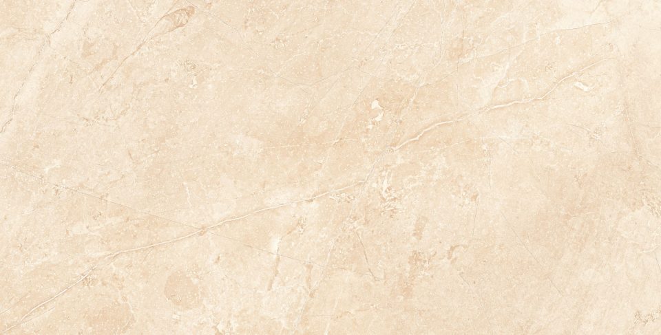 Керамогранит MA02 60x120х10 Непол.Рект. (Керамический гранит) #5