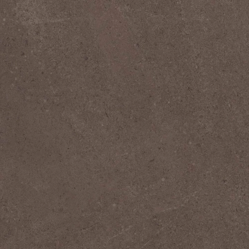 Керамогранит  GO02 60x60x9 Непол.Рект. (Керамический гранит) _8