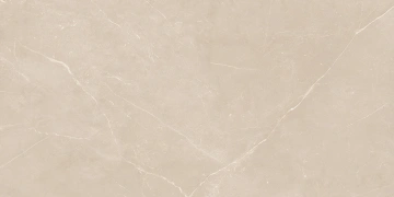 Керамогранит  NL00 60x120x10 Непол.Рект. (Керамический гранит) _6