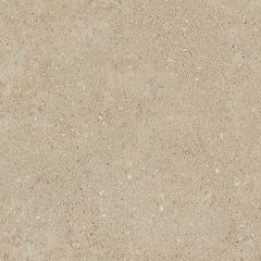 Керамогранит NP02 40,5x40,5x8 Непол. (Керамический гранит) (43,296 м2) #5