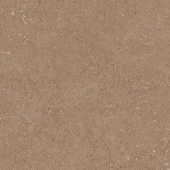 Керамогранит NP03 40,5x40,5x8 Непол. (Керамический гранит) (43,296 м2) #12