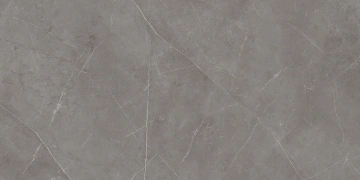 Керамогранит  AW01 19,4x120x9 Непол.Рект. (Керамический гранит) _1