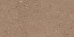 Керамогранит NP03 30,6x60,9x8 Непол. (Керамический гранит) #9