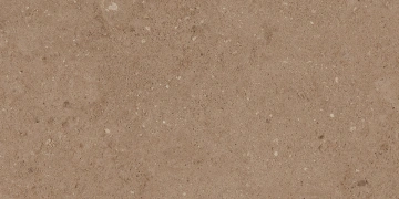 Керамогранит  NP01 30,6x60,9x8 Непол. (Керамический гранит) _8