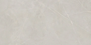Керамогранит  NL02 60x60x9 Полир. (Керамический гранит) _3