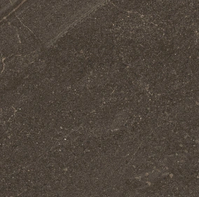 Керамогранит  BG00 19,4x120x10 Непол.Рект. (Керамический гранит) _22